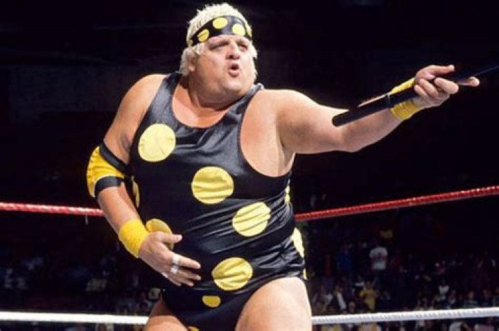 Dusty Rhodes Dusty Rhodes