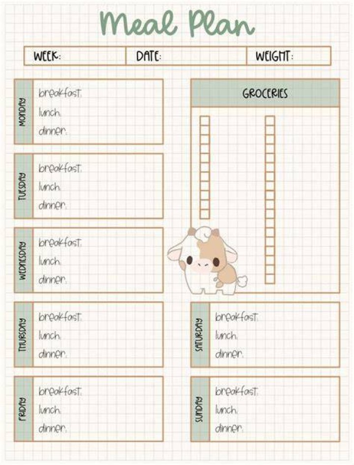 Elyse Levesque Diet Plan