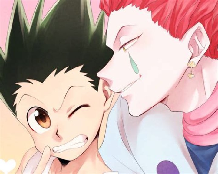 Gon and Hisoka's fight in the Heavens Arena arc in Hunter x Hunter