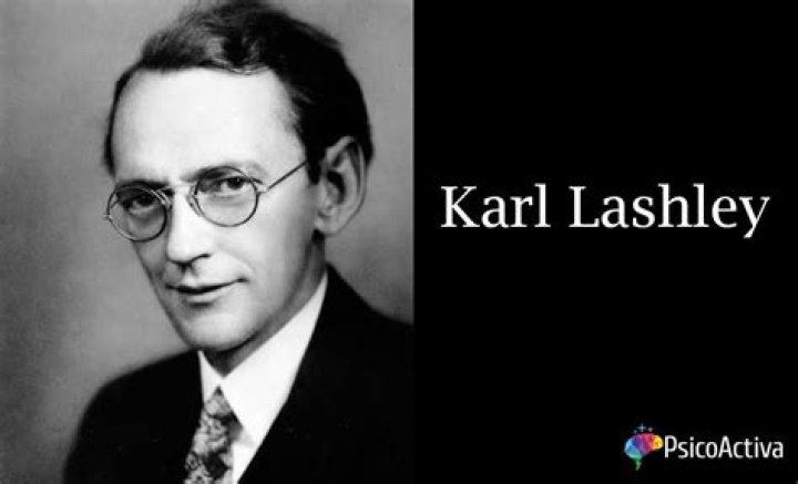 Karl Lashley Karl Lashley