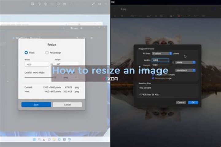 resize