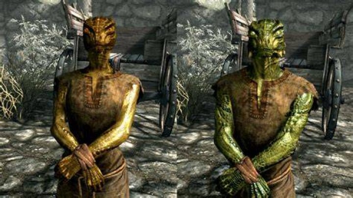 Skyrim races - Argonian