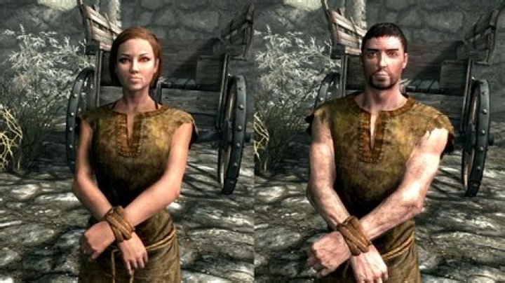 Skyrim races - Breton