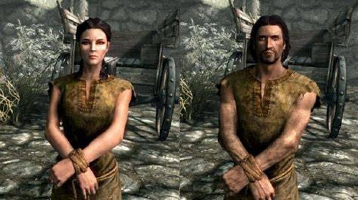 Skyrim races - Imperial