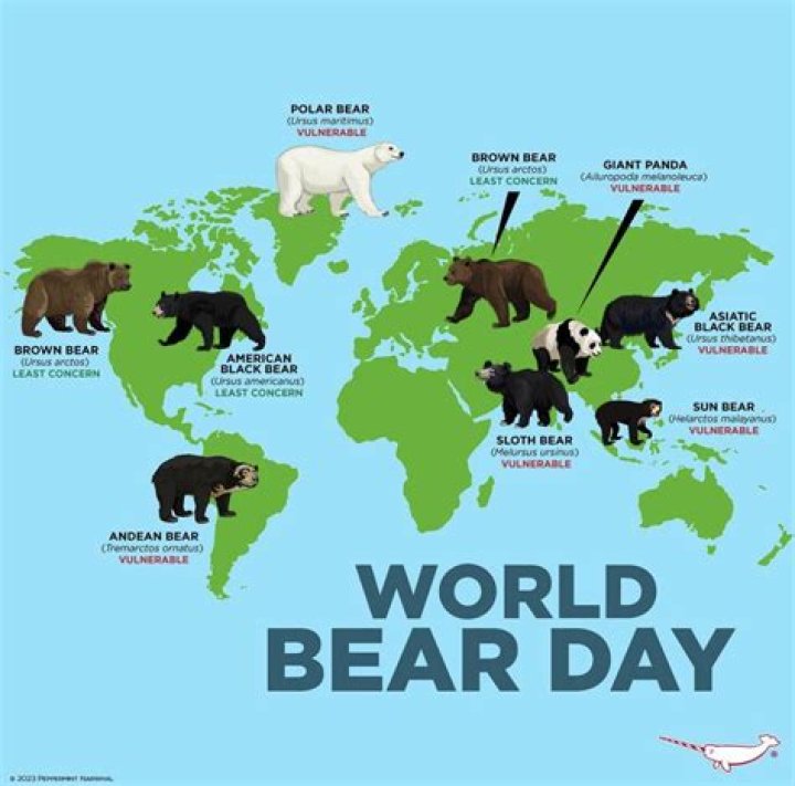 Why are there bears in Brave?